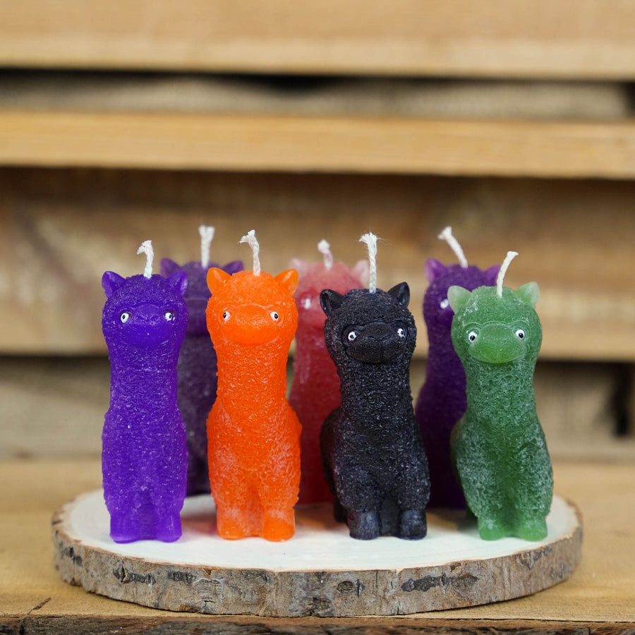Geschenke für Kinder