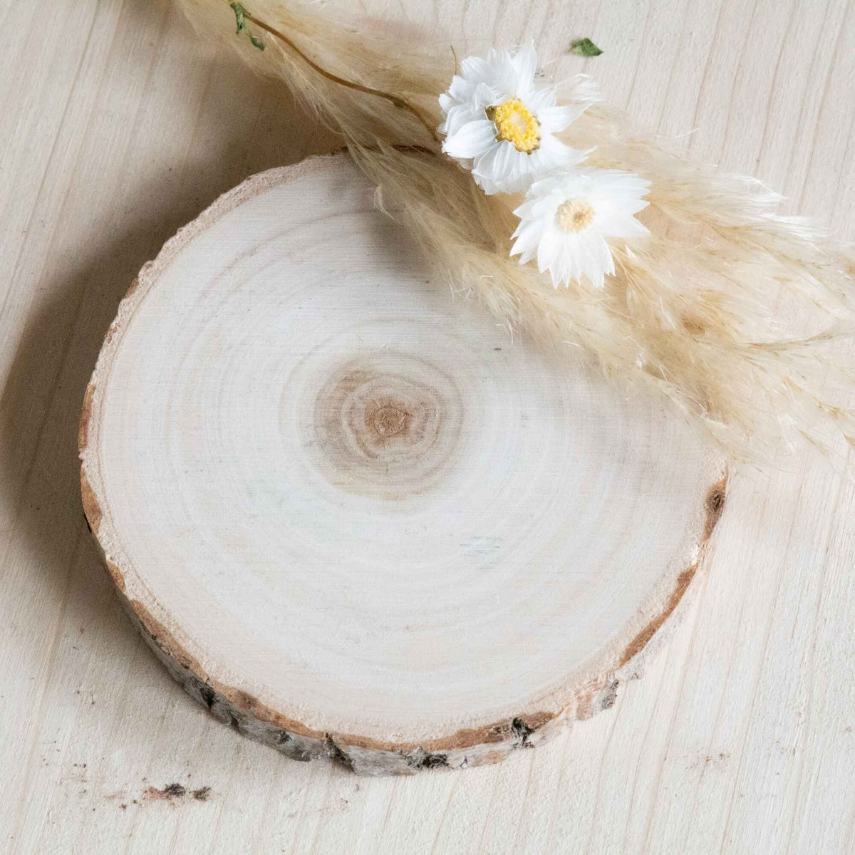 Holzscheibe als Untersetzer für Stumpenkerzen – Kerzenuntersetzer Holz Natur