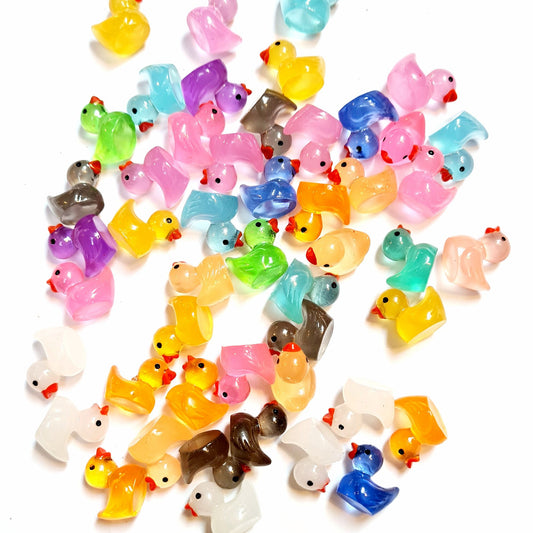 20 Bunte Enten für Seife
