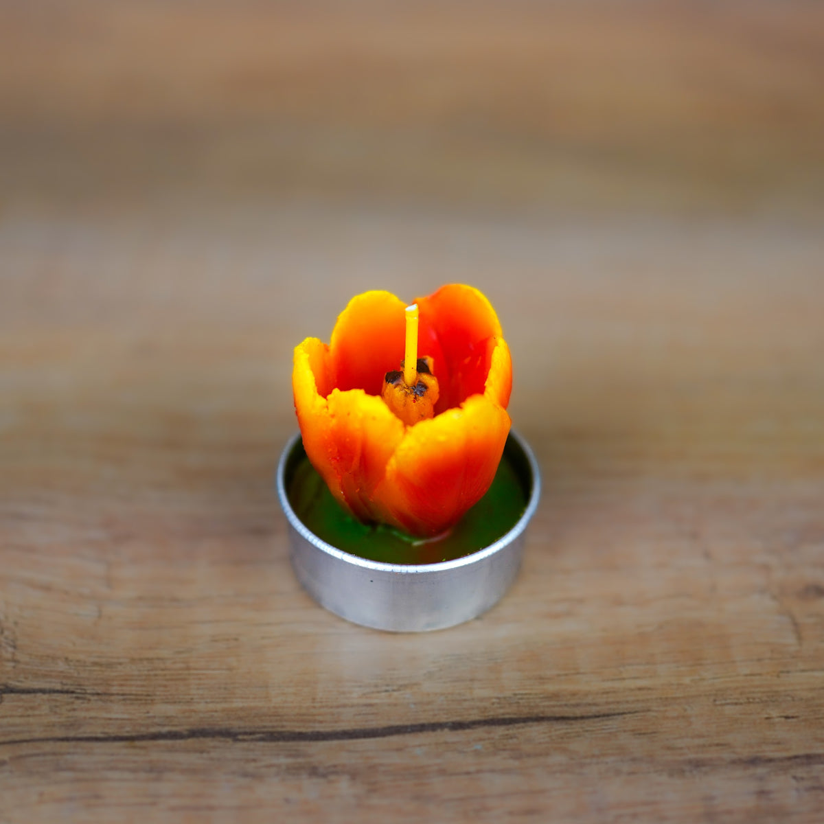Rotes Tulpen-Teelicht in der Nahaufnahme mit detaillierter Blütenform